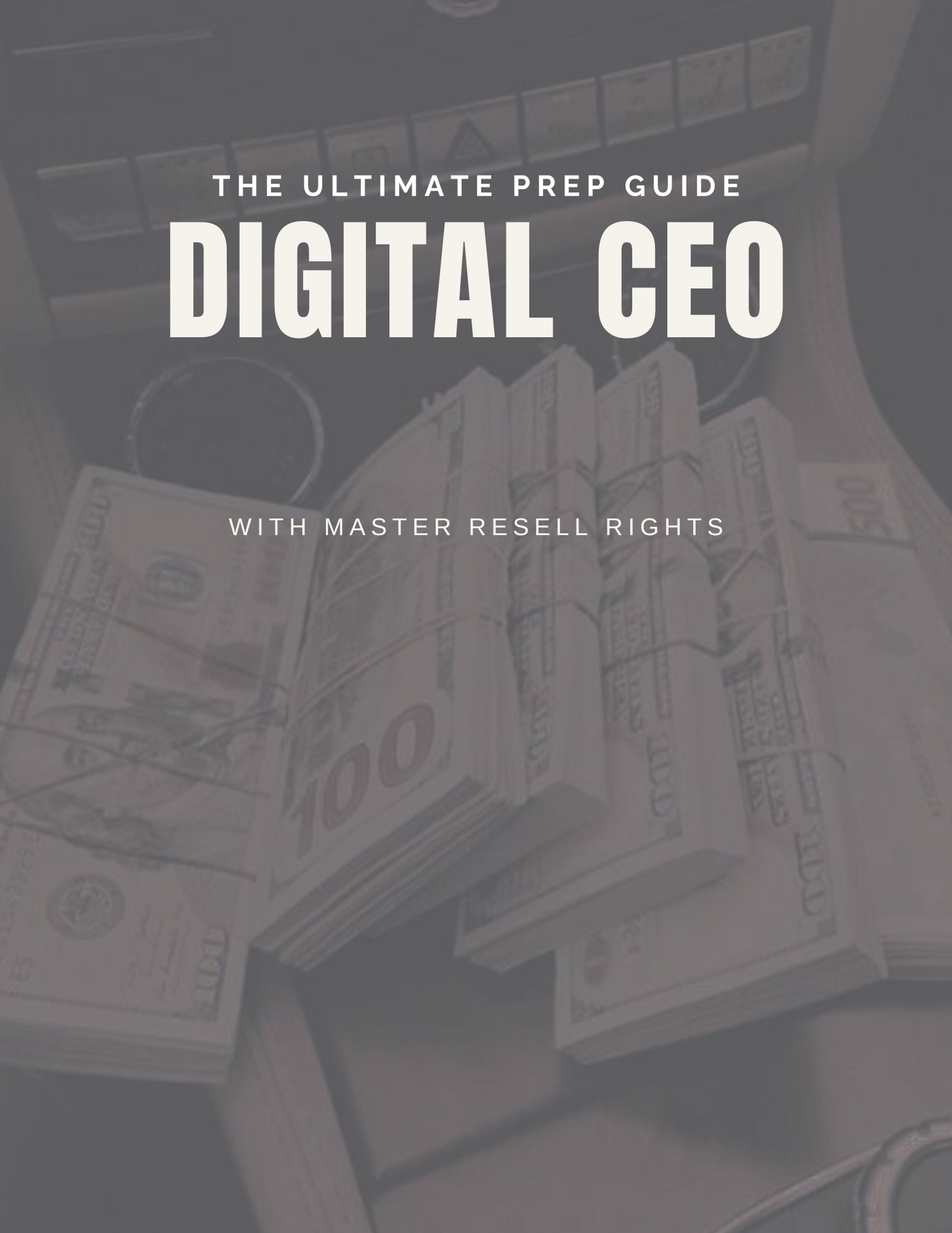 The Ultimate Prep Guide for a Digital CEO (with 2 freebies!) – Skye ...